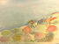 John Selway, Portuguese Beach Series/Trioas