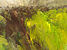Martyn Vaughan-Jones, Welsh Green