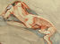 Life Drawing, Helga Prosser
