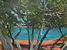 Through the Pines - Ibiza, Keith Harvey